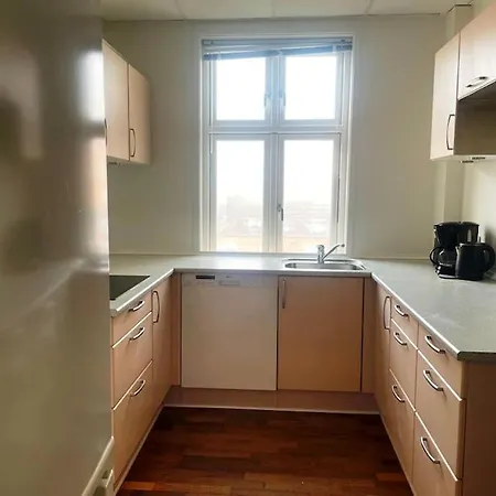 Apartman Stor Lejlighed Taet Pa Centrum. Viborg